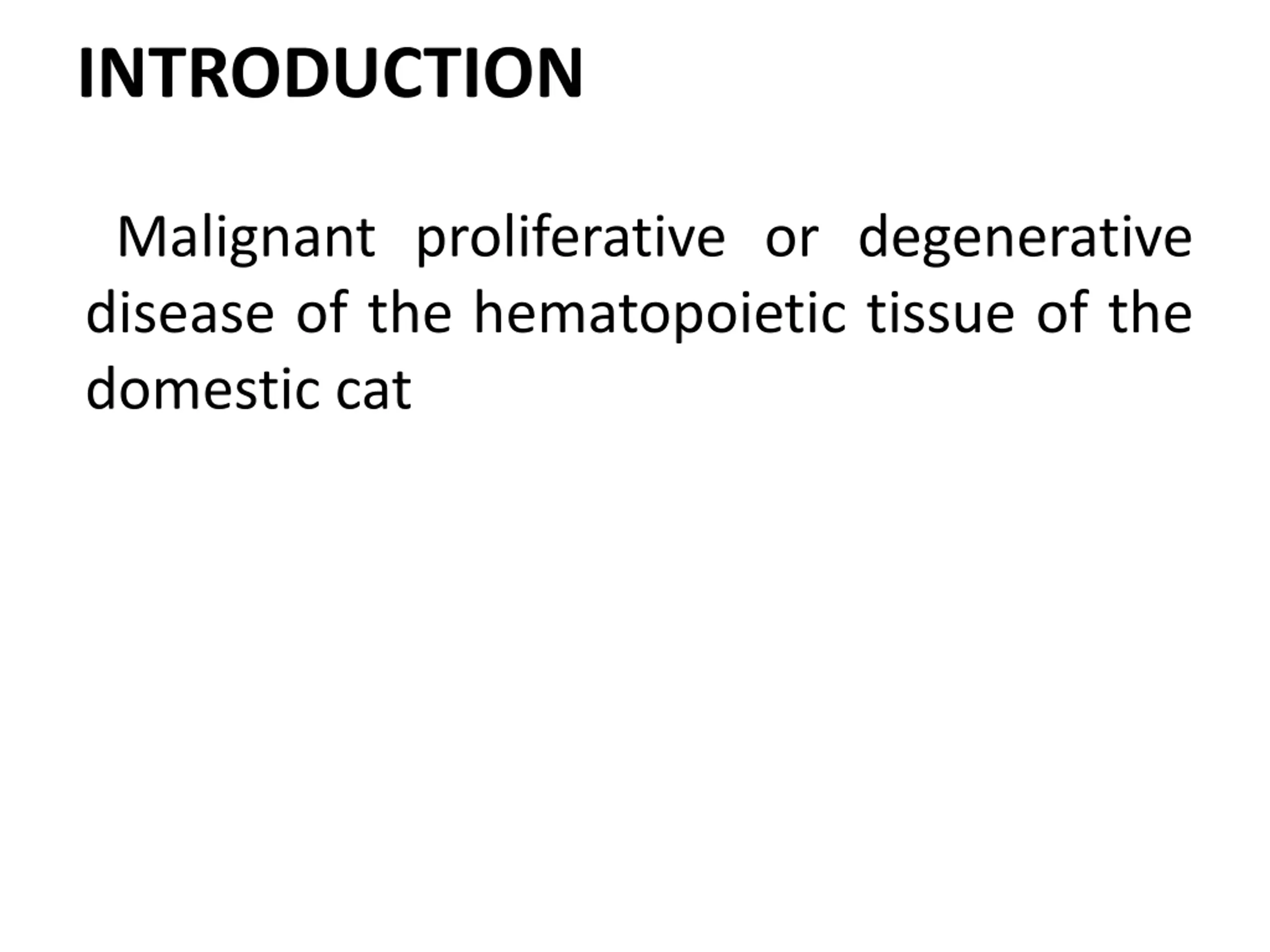 Powerpoint Cat Slide Feline Infectious Peritonitis PPT | SlideOrbit