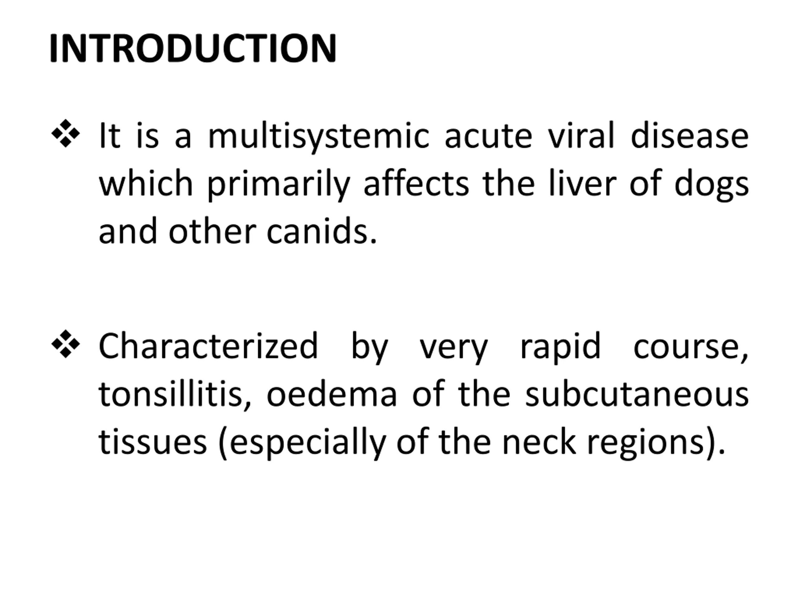Powerpoint Cat Slide Feline Infectious Peritonitis PPT | SlideOrbit