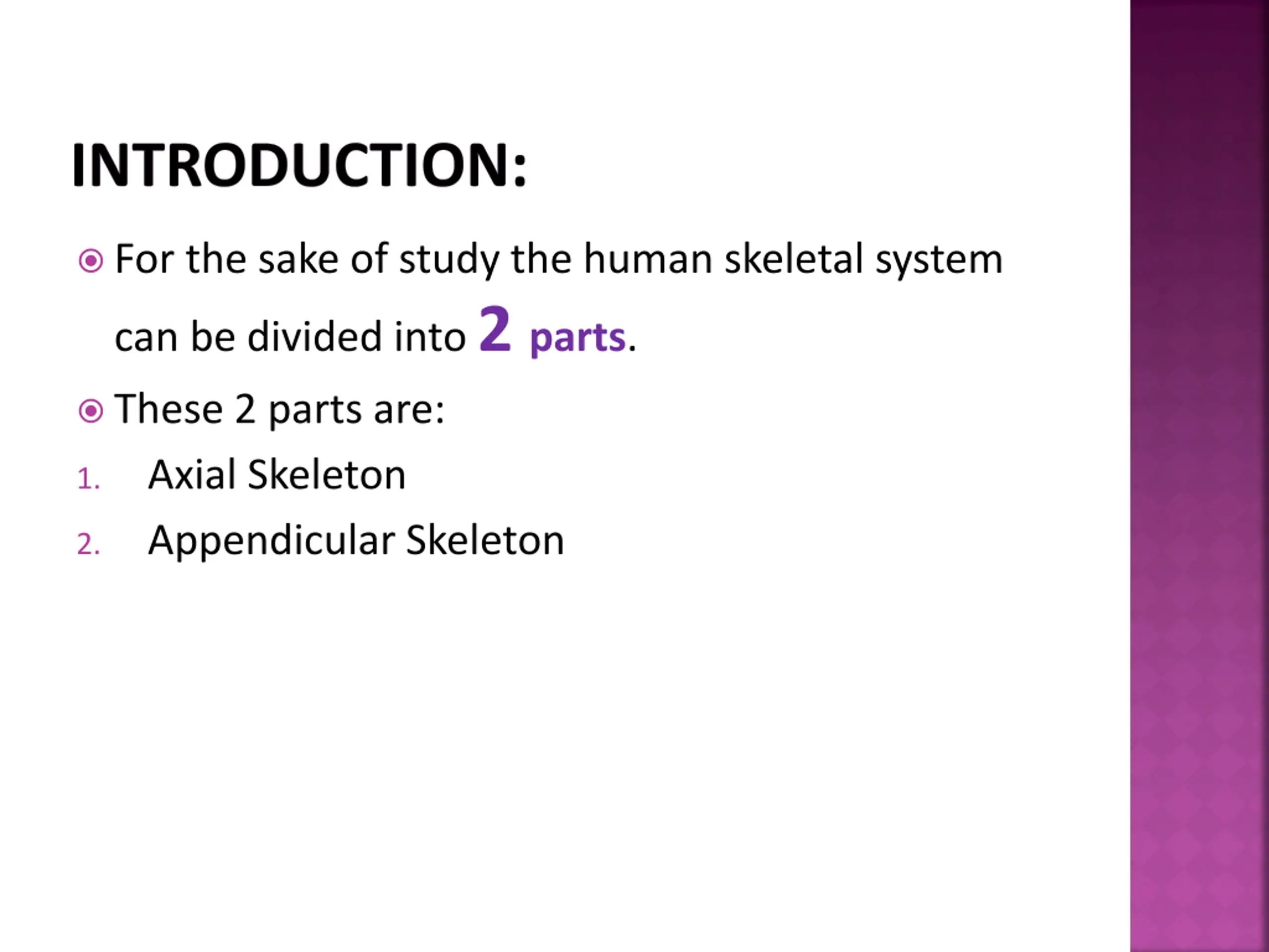 Human Skeleton System PPT | SlideOrbit