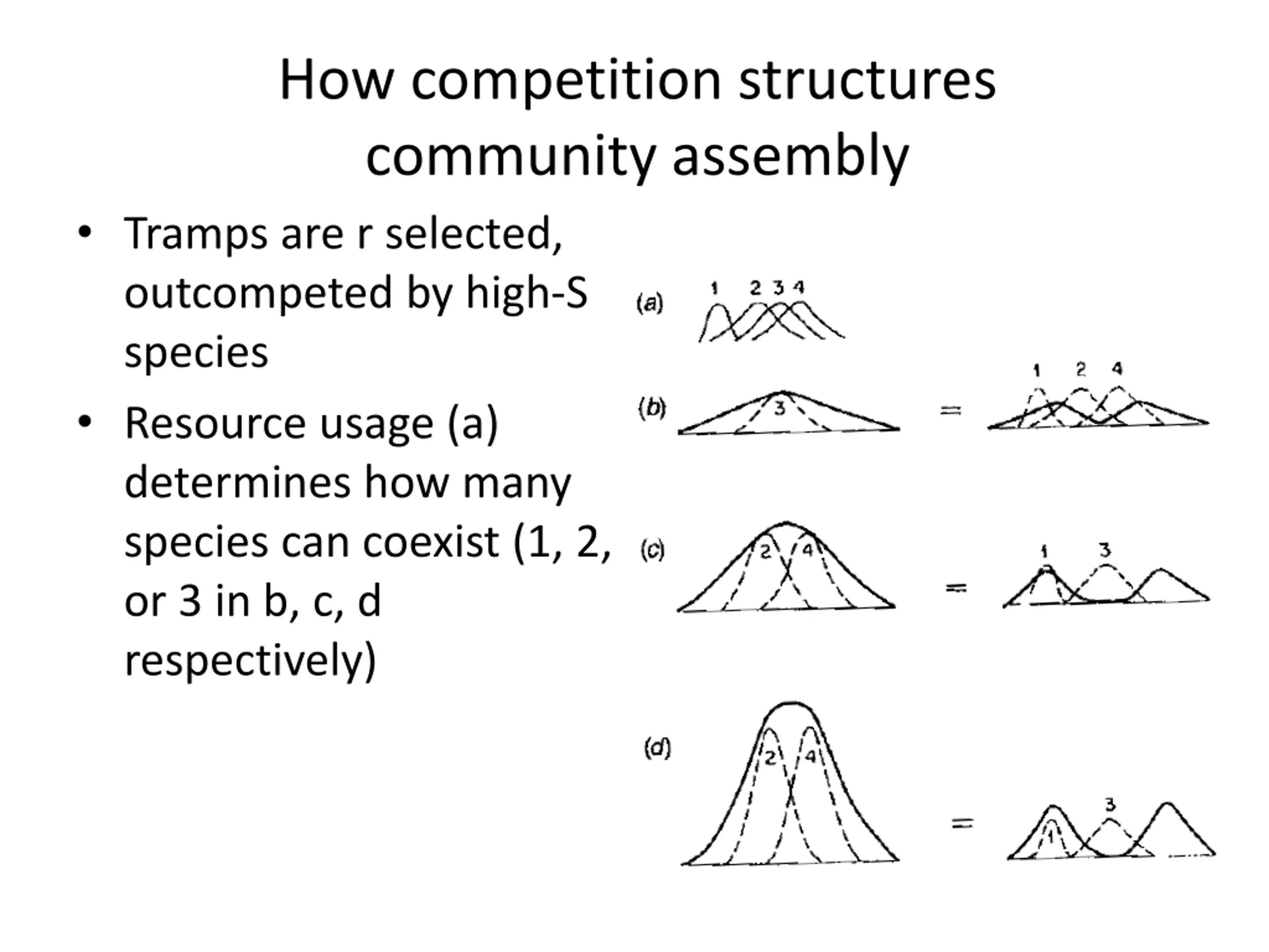 Super Rich Example Community Assembly and Dis-Assembly PPT | SlideOrbit