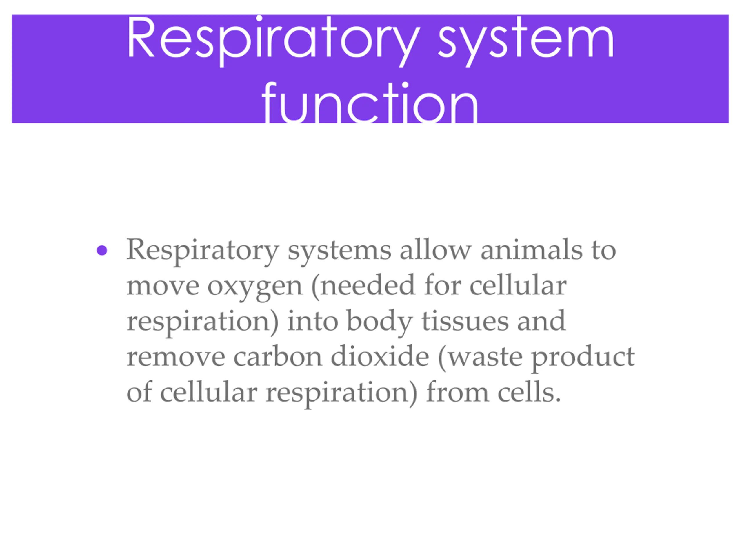 Respiratory System PPT | SlideOrbit