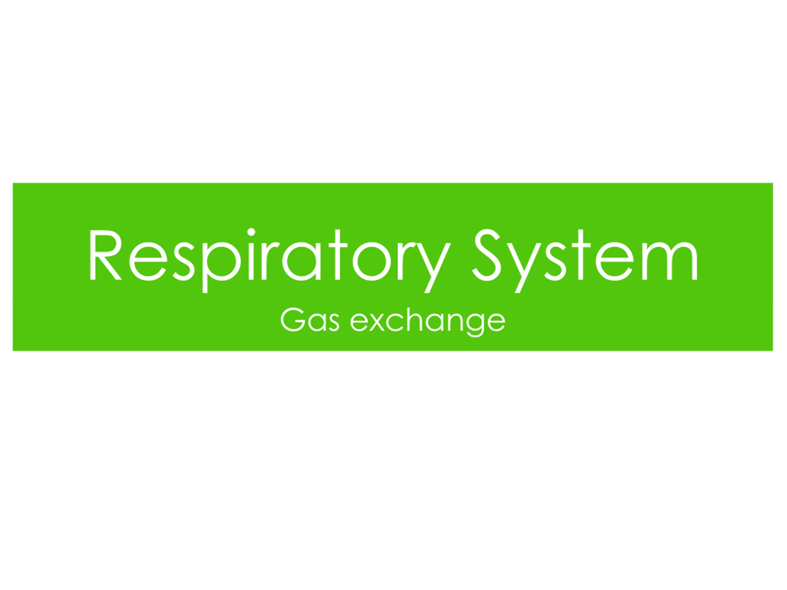 Respiratory System PPT | SlideOrbit