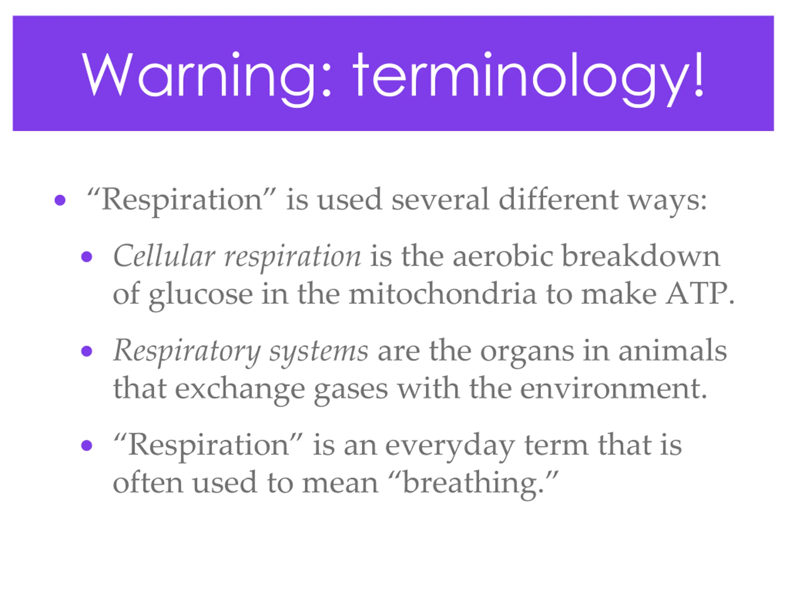 Respiratory System PPT | SlideOrbit