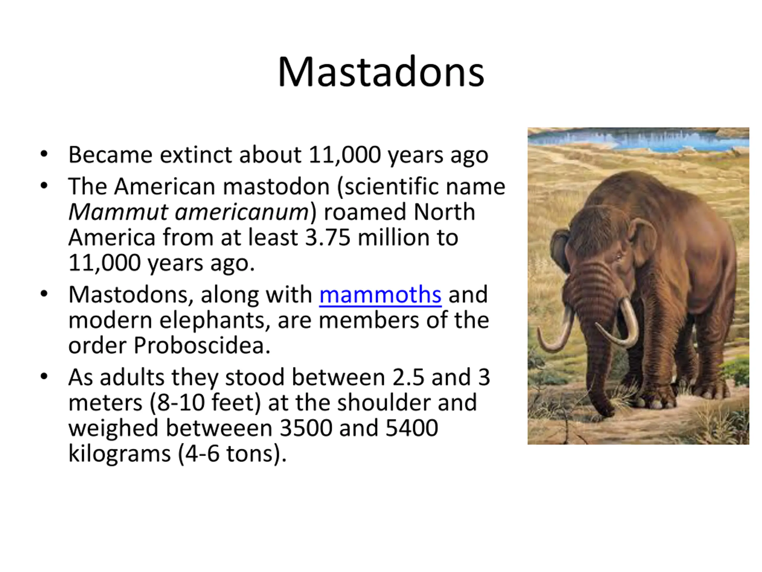 Powerpoint Cat Slide Animals of the Pleistocene PPT | SlideOrbit