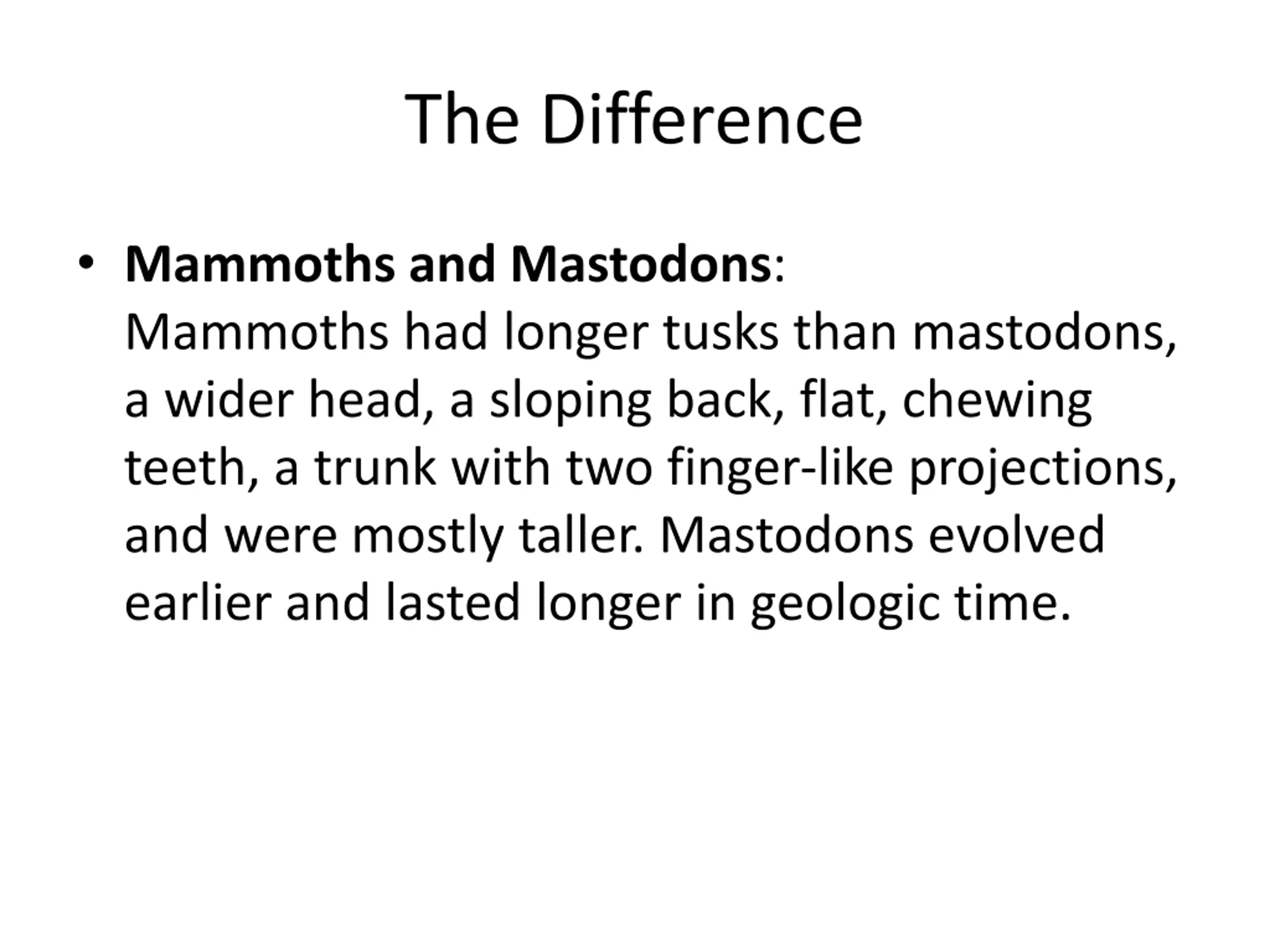 Powerpoint Cat Slide Animals of the Pleistocene PPT | SlideOrbit