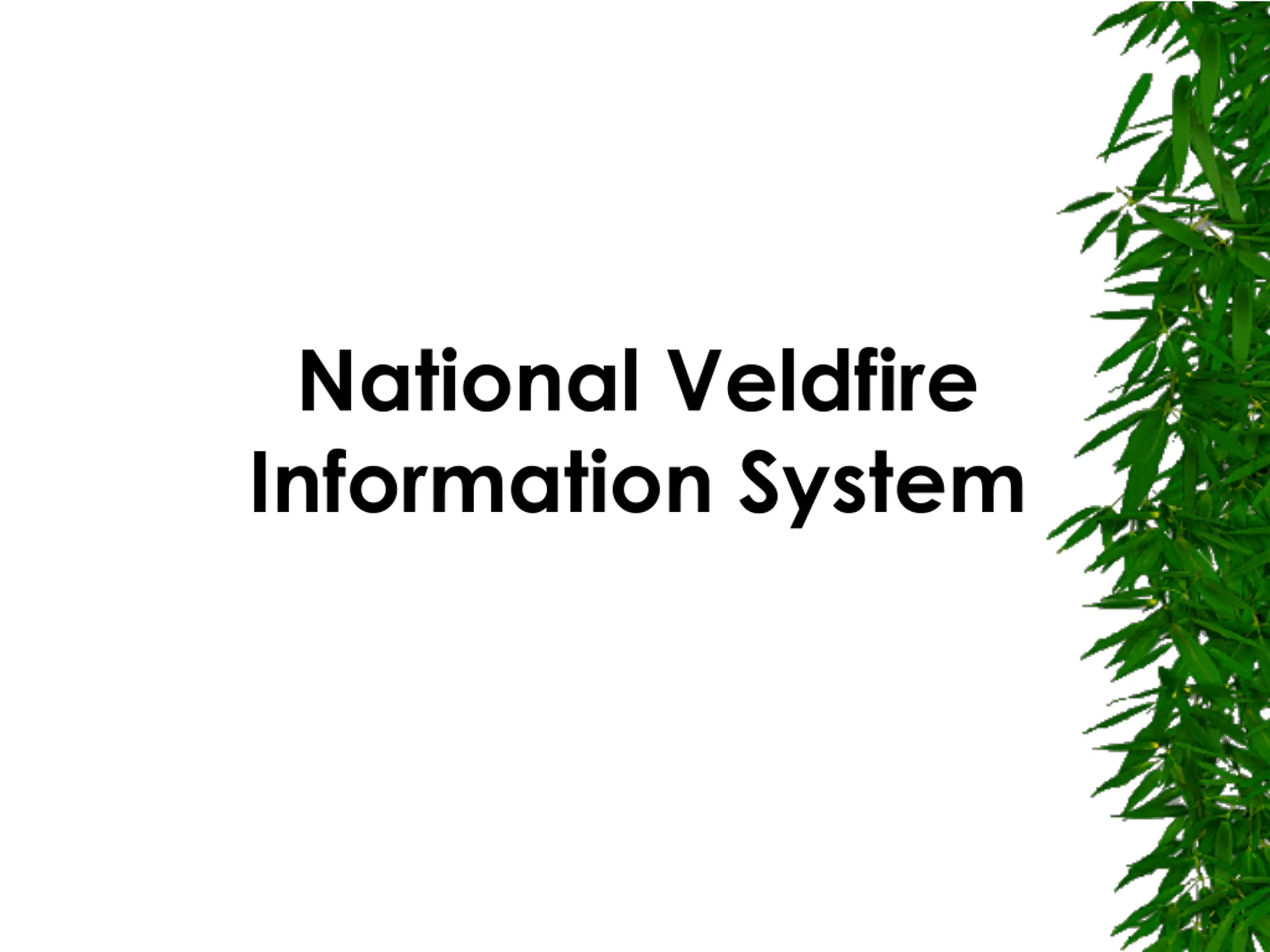 National Veldfire Information System PPT | SlideOrbit