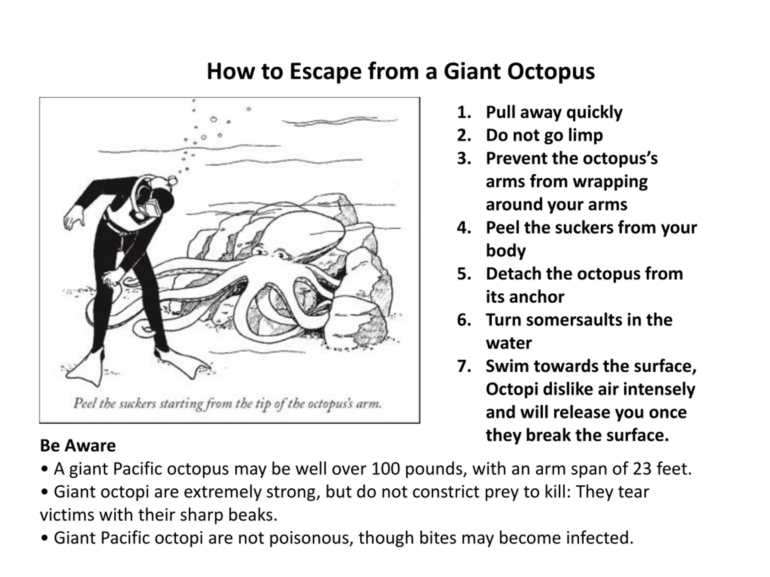 Worst Case Scenario Survival PPT | SlideOrbit