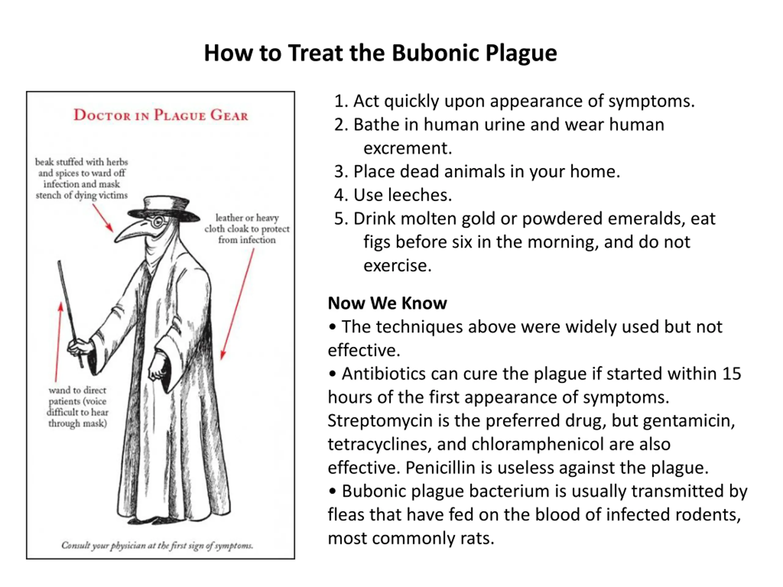 Worst Case Scenario Survival PPT | SlideOrbit