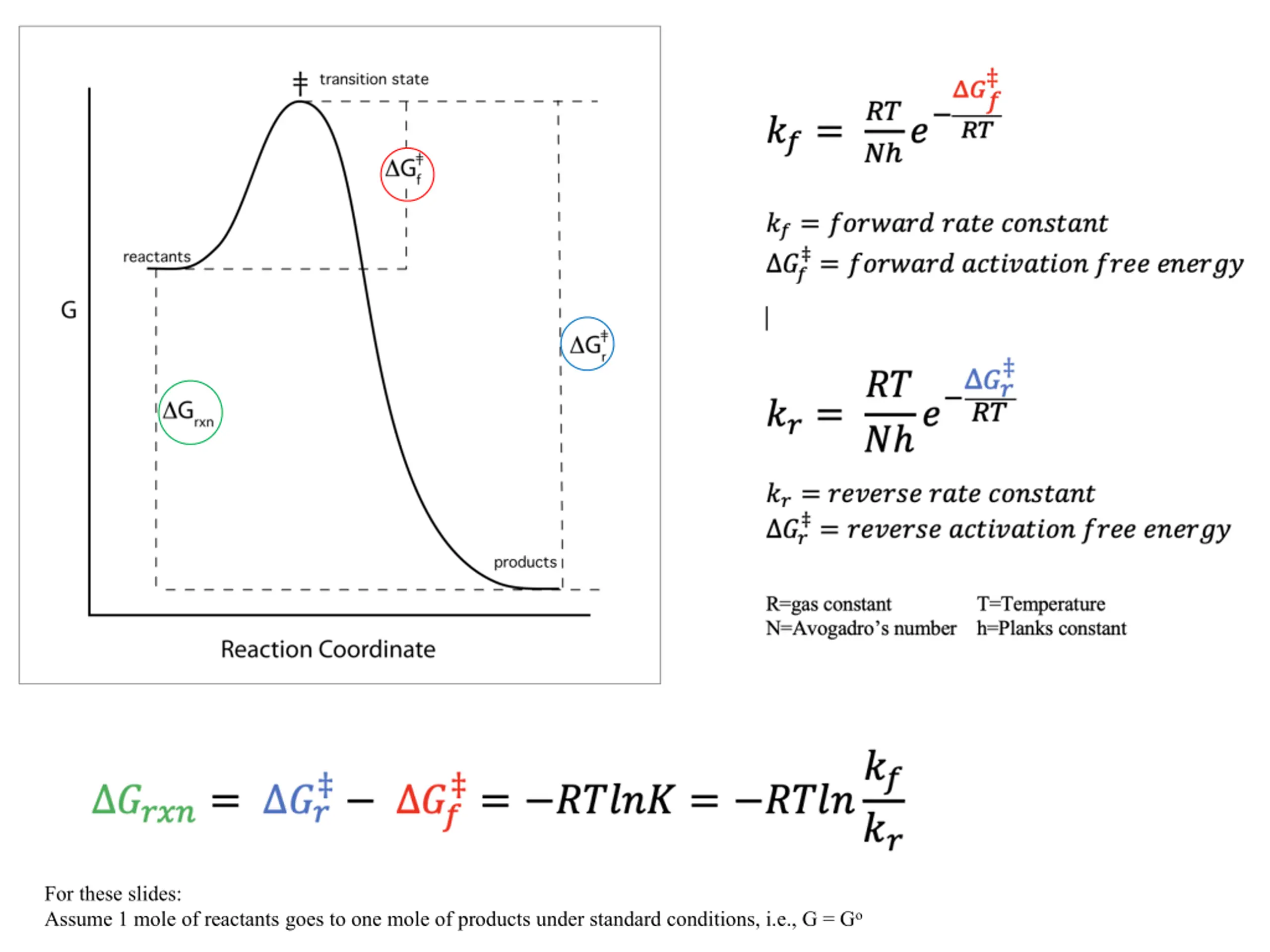 Enzymatic Catalysis PPT | SlideOrbit
