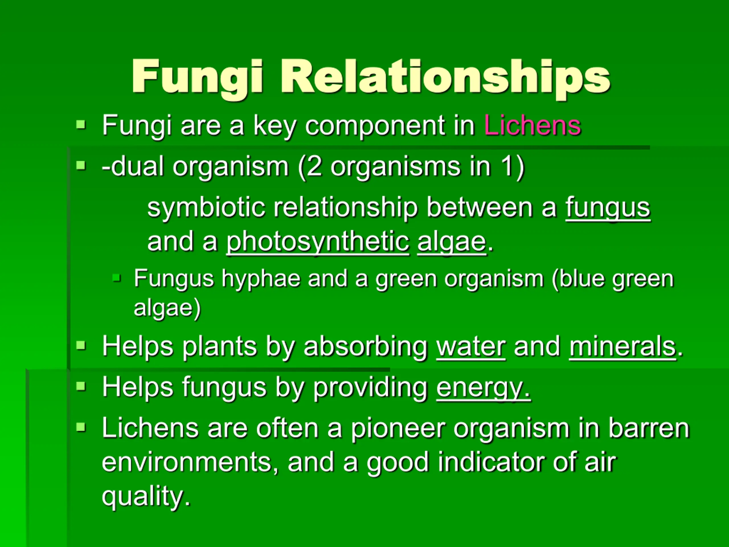 Phylum Ex Kingdom Fungi PPT | SlideOrbit