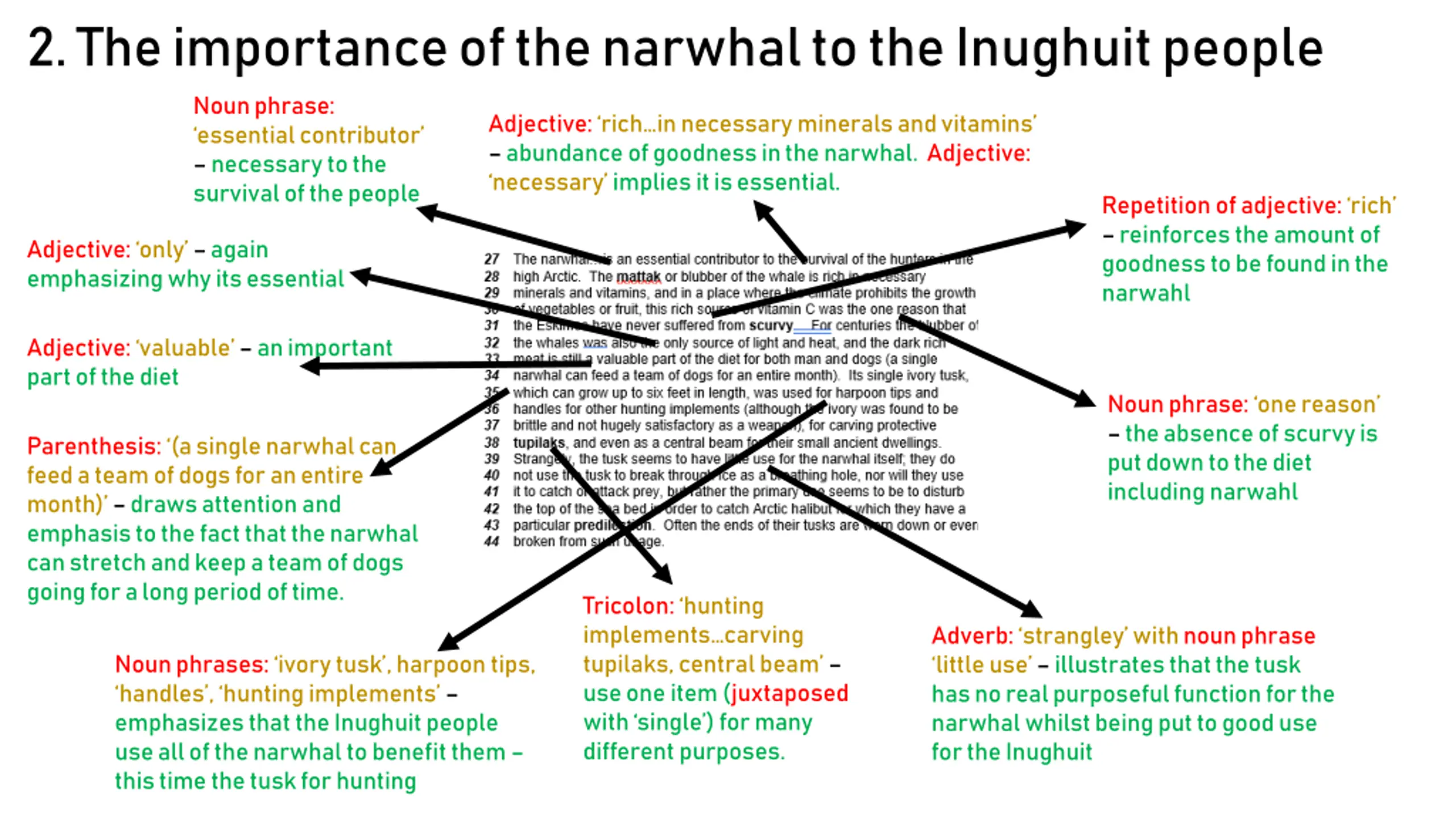 The Explorer’s Daughter: Complexities of Hunting PPT | SlideOrbit
