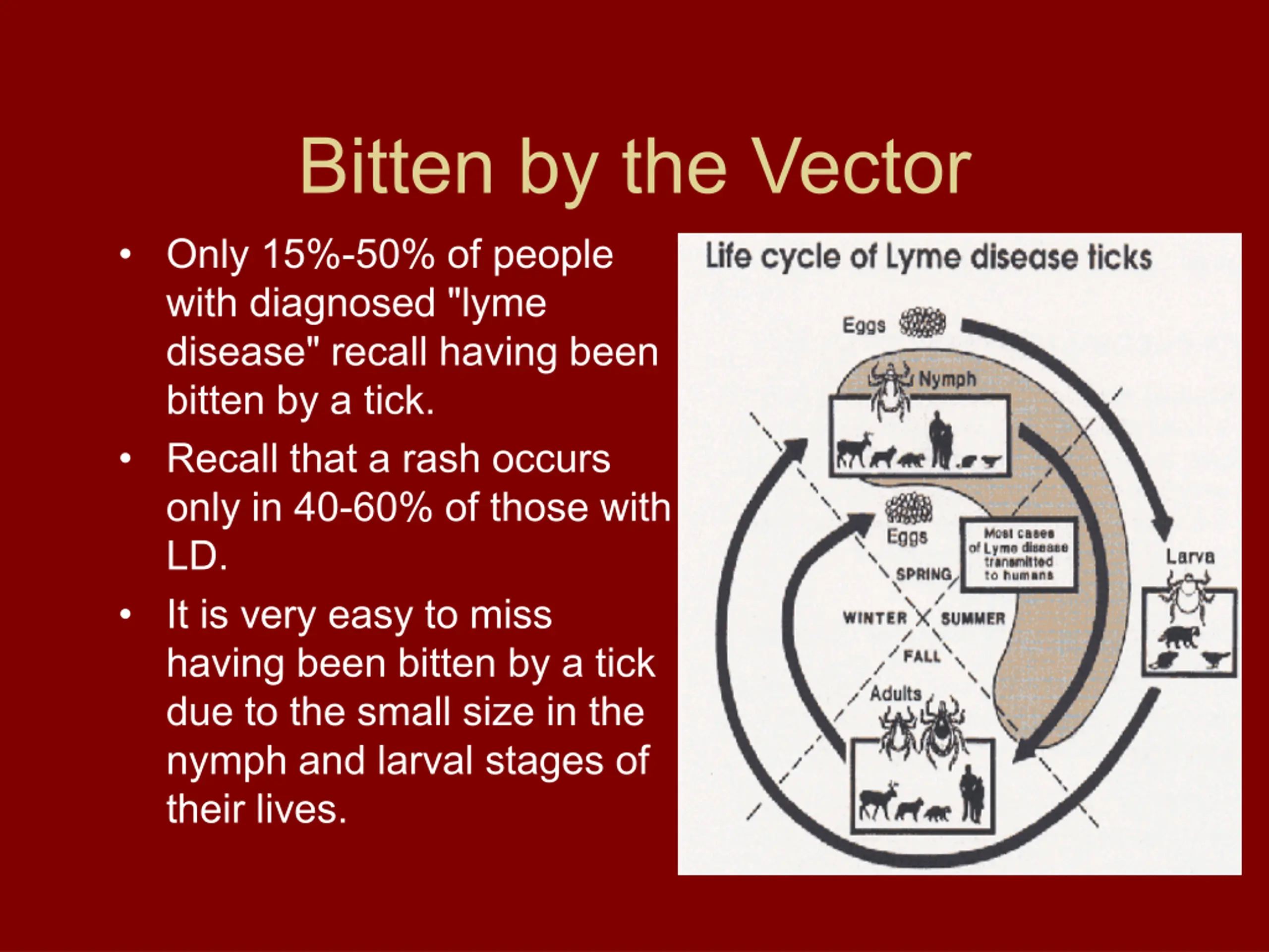 Lyme Disease and Tick-borne Co-Infections PPT | SlideOrbit