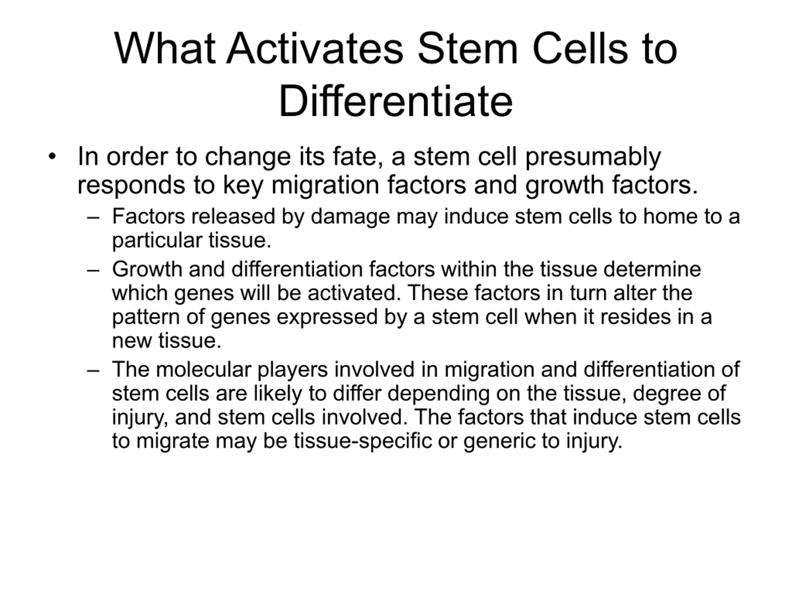 Stem Cell Basics PPT | SlideOrbit